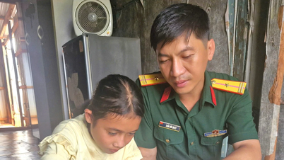 การสนับสนุนต้นกล้าสีเขียวบริเวณชายแดน