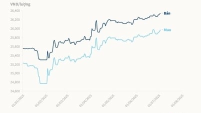 Giá USD tăng kịch trần