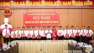 Phó Chủ tịch UBND tỉnh Hoàng Gia Long dự công bố các Quyết định về công tác cán bộ