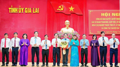 Gia Lai: Phân công nhiệm vụ 7 Phó Chủ tịch UBND tỉnh