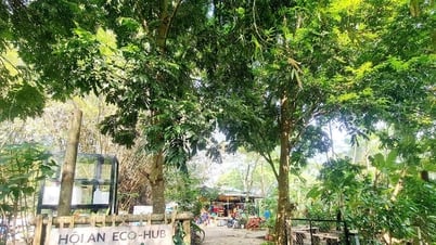 Sống xanh ở Triêm Tây