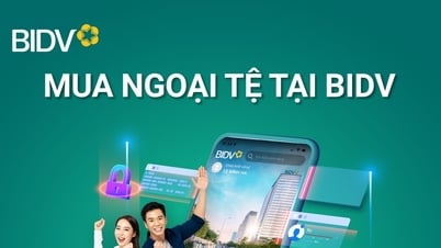 이제 외화가 더 이상 해외여행의 장애물이 되지 않도록