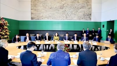 Việt Nam - Đức nhất trí thúc đẩy đối thoại và hợp tác