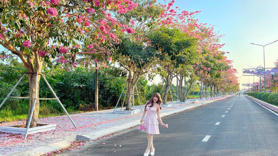 คนรักการท่องเที่ยวควรไปที่ไหน และทำอะไรในเดือนมีนาคมนี้?