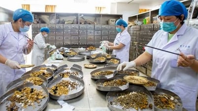 Quy định về đăng ký lưu hành thuốc cổ truyền, dược liệu