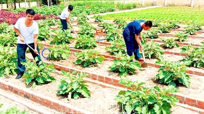 Ngành Hậu cần Sư đoàn Phòng không 377 thi đua làm theo lời Bác Hồ dạy