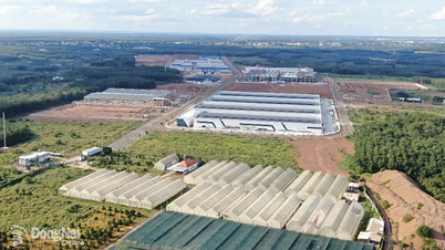 Maximizar el potencial y las fortalezas para el desarrollo de Dong Nai: Parte 2: Se convertirá en un centro industrial verde
