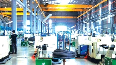 Potentiel de développement de parcs industriels dans les zones côtières de la province de Lam Dong