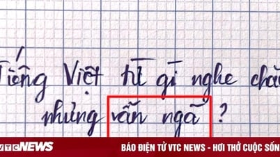 คำใดในภาษาเวียดนามที่ฟังดูมั่นคงแต่ก็ยังตกหล่น?
