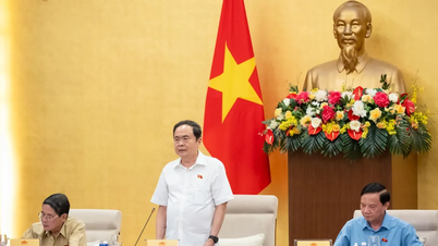 Presidente de la Asamblea Nacional, Tran Thanh Man: La Asamblea Nacional debe promover su papel como "arquitecto institucional".