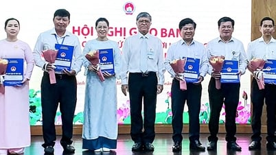ទីក្រុងហូជីមិញតែងតាំងមន្ត្រីជាបន្តបន្ទាប់ក្នុងវិស័យអប់រំ