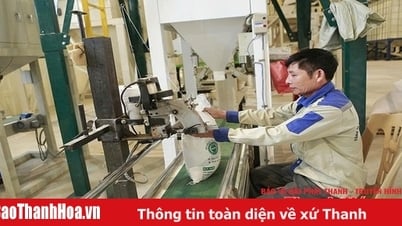 Xây dựng các cơ sở bảo quản, chế biến nông sản