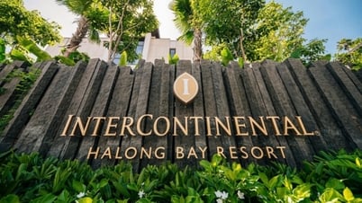 La transformación de Ha Long en el mapa mundial de resorts de lujo