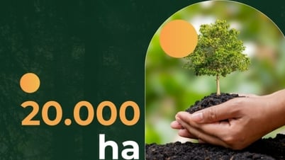 20,000เฮกตาร์ - เป็นพื้นที่ป่าผลิตที่ได้รับการรับรองจาก FSC การบริหารจัดการป่าไม้แบบยั่งยืน