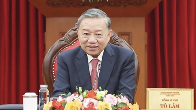 Les États-Unis réduiront considérablement les droits de douane réciproques sur de nombreux produits vietnamiens.