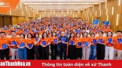 質の高い教員 - FPTスクール・タンホアにおける楽しく包括的な学習環境の基盤