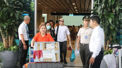 Restablecer la ruta de vuelo directo Osaka - Da Nang