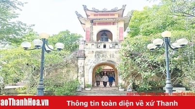 Pagode Tran – « adresse rouge » du mouvement révolutionnaire