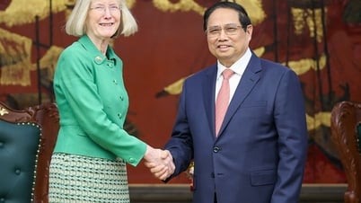 Thủ tướng Phạm Minh Chính tiếp Đại sứ Australia tại Việt Nam Gillian Bird