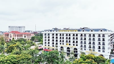 Tăng tốc thực hiện các dự án trung tâm thương mại, dịch vụ