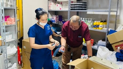 TP.HCM báo cáo chiến dịch kiểm tra thuốc giả, thực phẩm giả