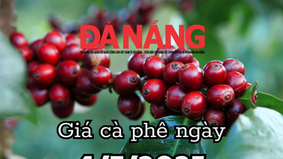Tin tức, dự báo giá cà phê ngày mai 4/7/2025 giá cà phê toàn cầu giảm sâu bởi đồng Real mạnh lên