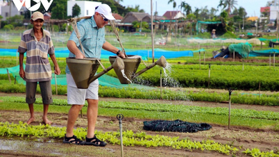 Du lịch sinh thái – hướng phát triển bền vững của đô thị cổ Hội An