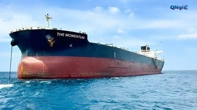 Hoa Phat pone en funcionamiento el buque Momentum de 110.000 DWT
