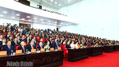 Ninh Binh a solennellement tenu la cérémonie d'annonce de la résolution et de la décision du gouvernement central et de la province sur la fusion des unités administratives.