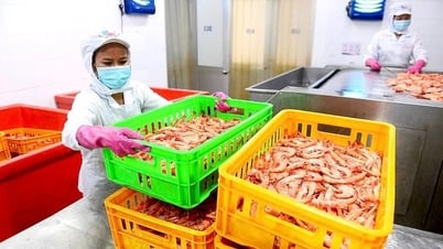 Thuế đối ứng với Mỹ: Kích hoạt đầu tư nhờ ưu đãi hàng Mỹ, hàng xuất khẩu nào hưởng lợi?