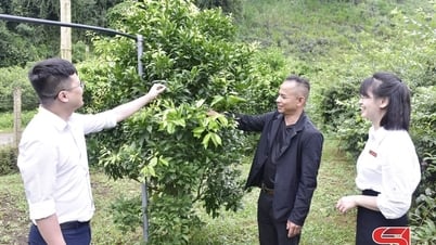 機会を蒔けば成功を刈り取る