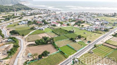 Đẩy nhanh tiến độ Dự án Điện hạt nhân