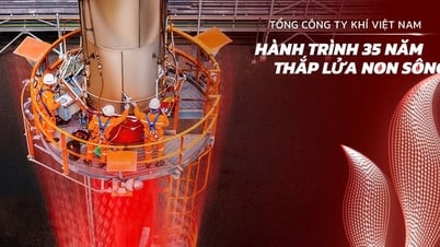 تعد شركة PV GAS من بين أفضل 50 شركة مدرجة في فيتنام لعام 2025 حسب مجلة Forbes Vietnam