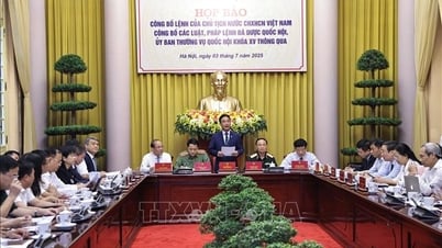 15の法律と1つの条例に関する大統領令の発表