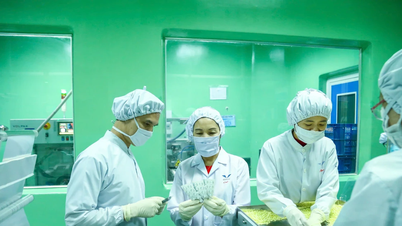 Bidiphar continue d'être honoré dans le Top 50 des meilleures sociétés cotées au Vietnam