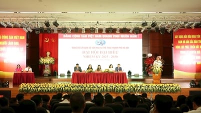 การประชุมใหญ่คณะกรรมการพรรคคอมมิวนิสต์แห่งกรุงฮานอย วาระปี 2025 - 2030: