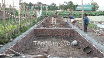 Commune de Nguyen Van Linh : détection et traitement de deux ménages pour construction illégale
