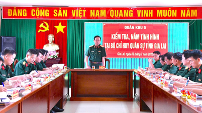 គណៈប្រតិភូការងារនៃបញ្ជាការដ្ឋានយោធភូមិភាគទី៥ ចុះត្រួតពិនិត្យអង្គភាពក្រោមឱវាទនៃបញ្ជាការដ្ឋានយោធភូមិភាគខេត្ត Gia Lai។