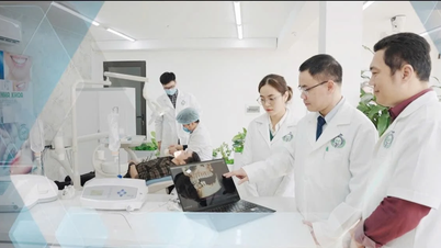 VNU piloting the Visiting Professor program