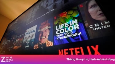 Los anuncios de Netflix, Google y Facebook aumentan de precio en Vietnam