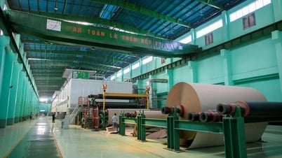Lãnh đạo Đông Hải Bến Tre (DHC) đăng ký mua 380.000 cổ phiếu