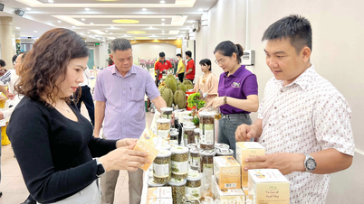 Hỗ trợ doanh nghiệp phát triển tài sản trí tuệ