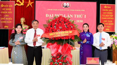 Đặc biệt chú trọng công tác xây dựng chi bộ trong sạch, vững mạnh, gương mẫu