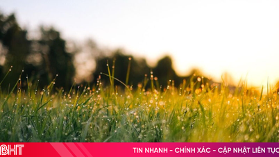 Podcast: Tản văn - Có những sớm mai
