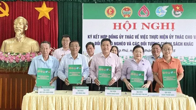 Đẩy mạnh hoạt động cho vay ủy thác, đáp ứng nhu cầu người dân