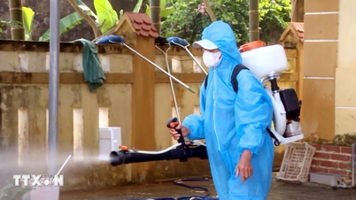 Bộ Y tế tăng cường phát hiện sớm các nguy cơ dịch bệnh tại cộng đồng