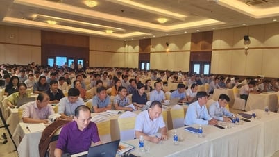 Đồng Tháp: Phổ biến, hướng dẫn thực hiện các quy định pháp luật về đấu thầu và đấu thầu qua mạng