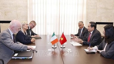 Đề nghị Quốc hội Ireland sớm phê chuẩn Hiệp định Bảo hộ đầu tư Việt Nam - EU