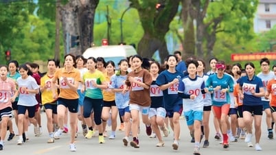 Cao Bang: The Law on Physical Education and Sports is implemented seriously, synchronously and in accordance with the actual situation in the locality.
