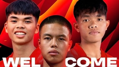Ninh Bình công bố 5 tân binh ‘trẻ măng’: Làn gió mới làm mát V-League